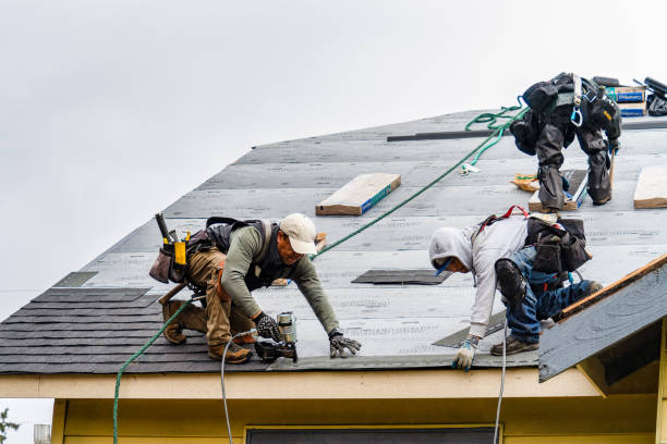 Professional Roofing technician working in Almelund, MN